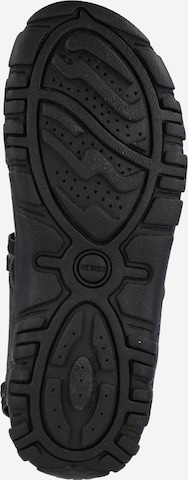 GEOX Hiking Sandals 'Strada' in Black