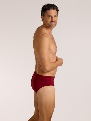 wavebreaker Swim Trunks in Red