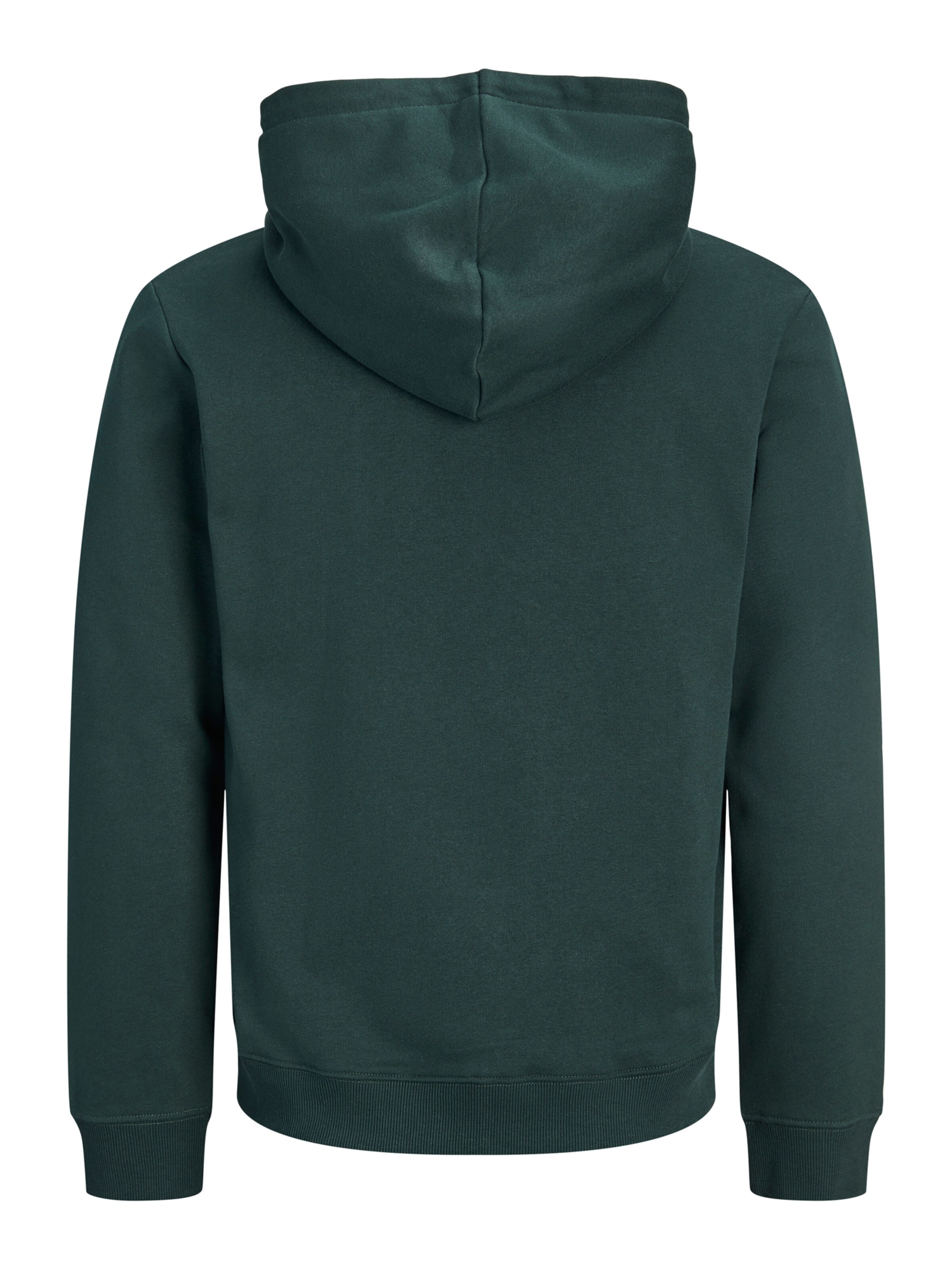 Giacca di felpa 'JJAERO' di Jack & Jones Plus in verde