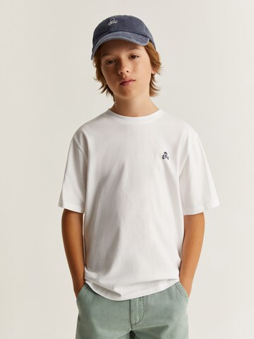 Regular Pantalon Scalpers en vert