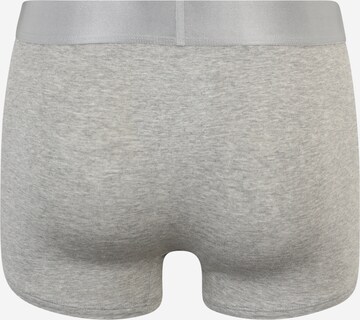 Calvin Klein Underwear Boxershorts in Grijs