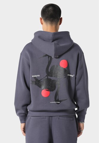 Felpa 'Crane' di Irasuto Studios in grigio: frontale