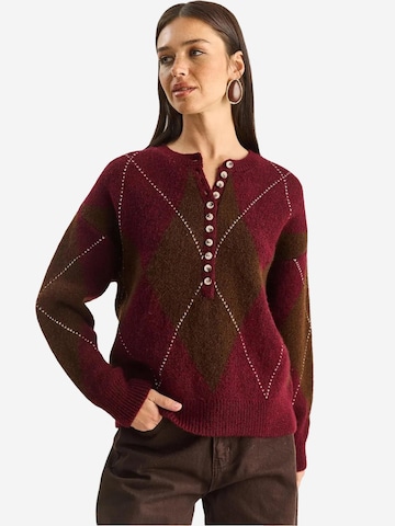 Bianco Lucci Pulover 'Pullover' | rjava barva