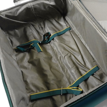 Roncato Cart in Green