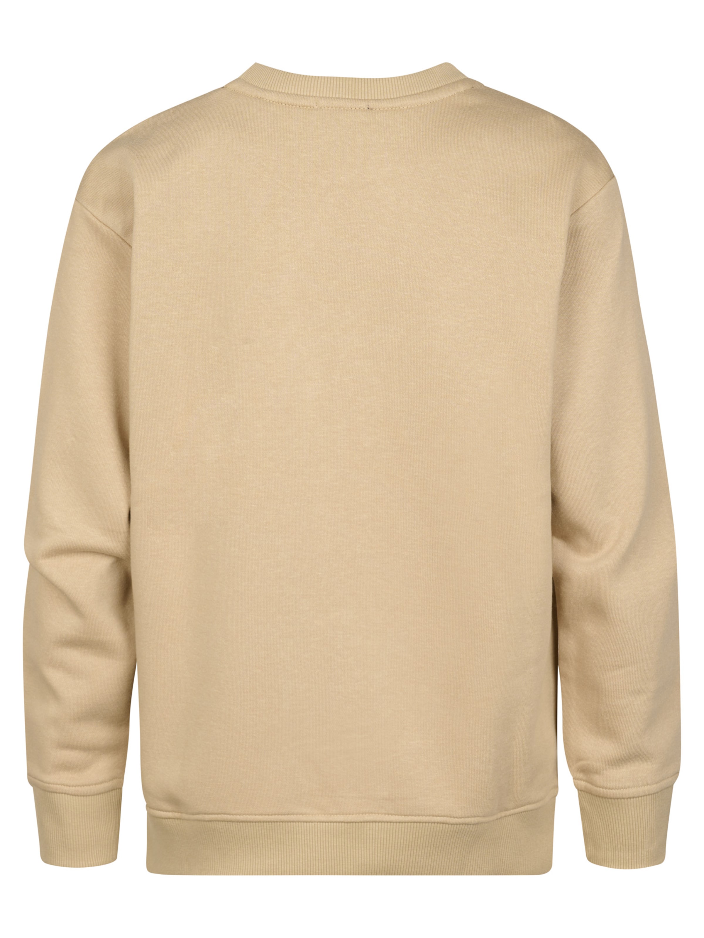 Petrol Industries Sweatshirt 'Coyote' in Brown
