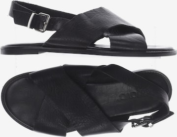 INUOVO Sandals & High-Heeled Sandals in 37 in Black: front