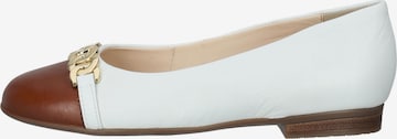 ARA Ballet Flats in White