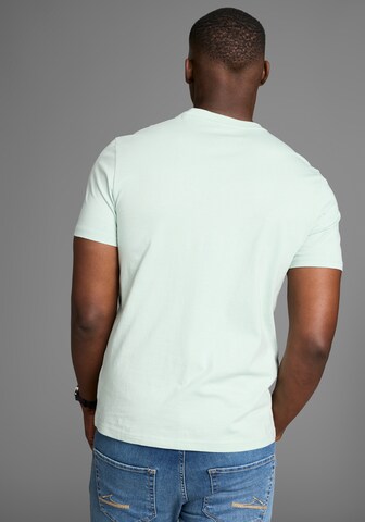 DELMAO T-Shirt in Grün