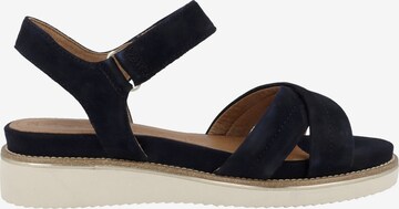 TAMARIS Sandalen met riem in Blauw