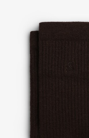 Scalpers Sena Socks in Braun