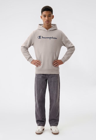 Champion Sweatshirt in Grey
