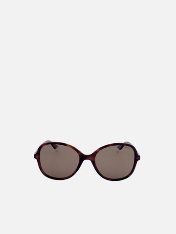 Polaroid Sunglasses in Brown