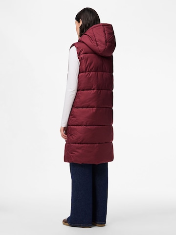 PIECES Bodywarmer 'PCBee' in Rood
