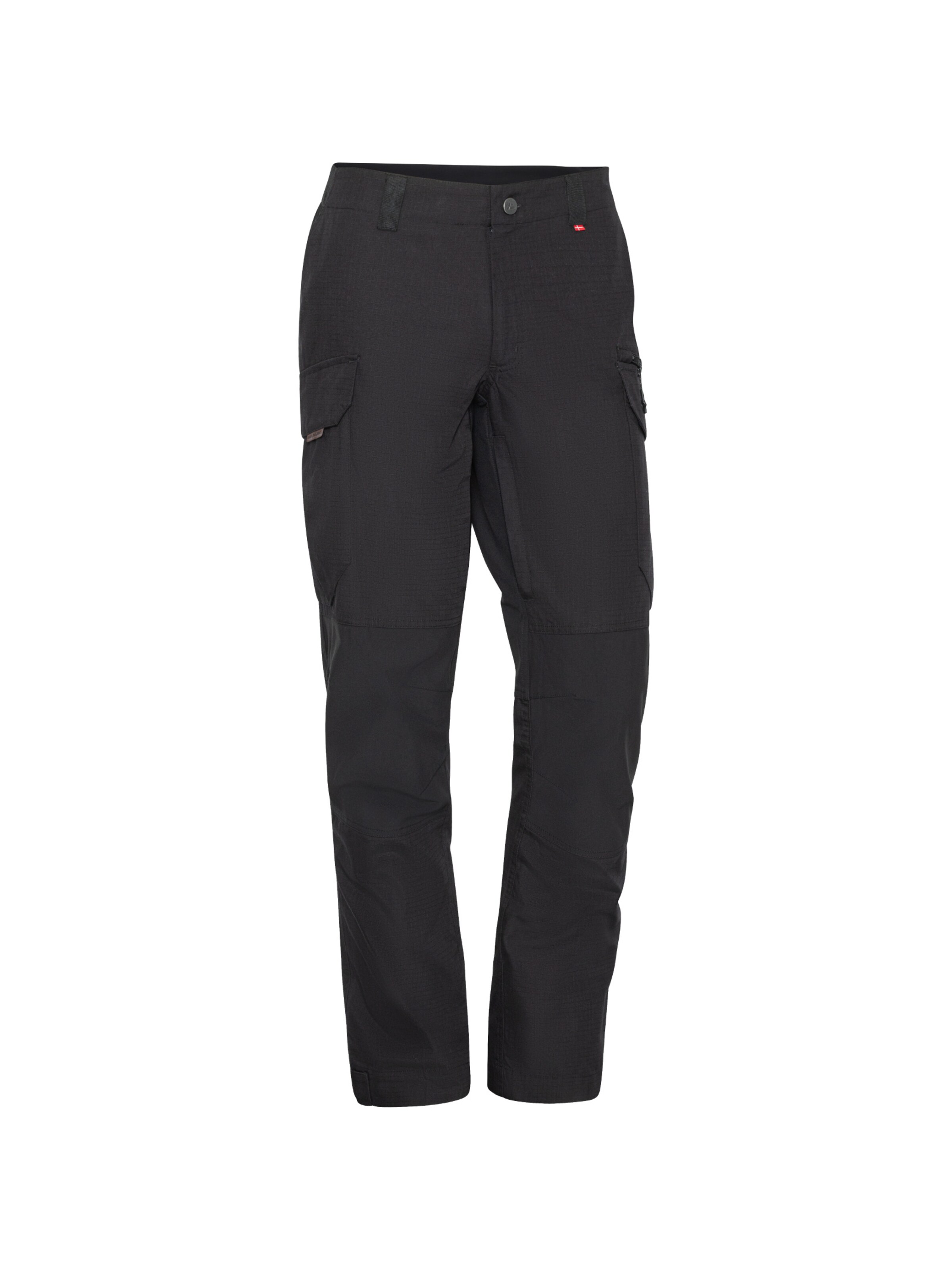 Regular Pantalon fonctionnel 'Explorer Hiking' DANISH ENDURANCE en noir : devant