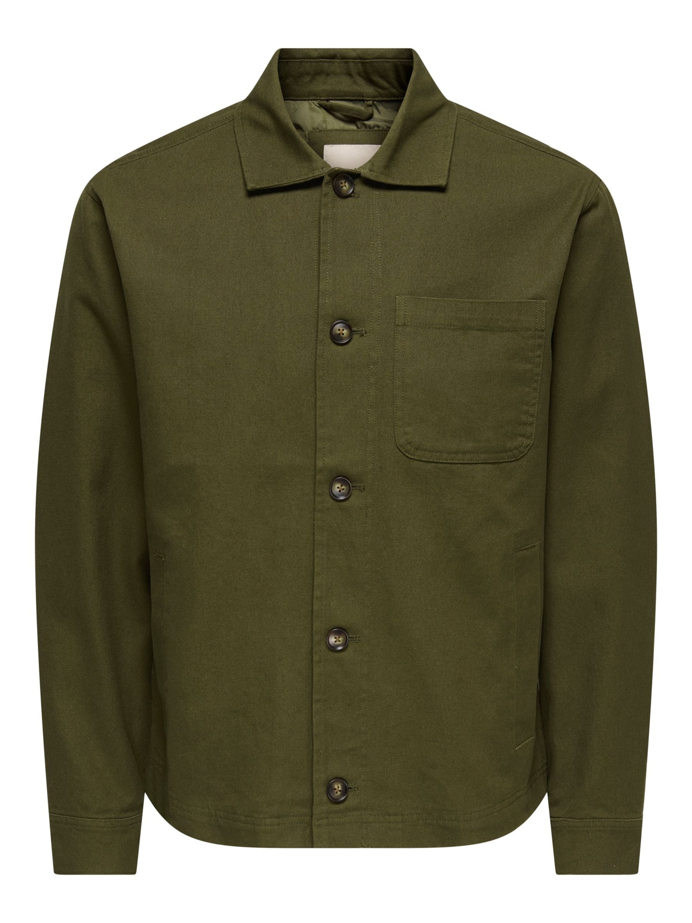 Only & Sons - Camisa 'ONSRONNIE' en verde: frente