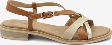 Nero Giardini - Sandália 'NERO GIARDINI E615890D 453 tamigi lino platino cuoio scarpe donna sandali pelle' em castanho: frente
