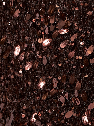 Lipsy Top in XXL in Chocolate, Item view