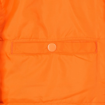 ALPHA INDUSTRIES Prehodna jakna 'MA-1 VF 59' | siva barva
