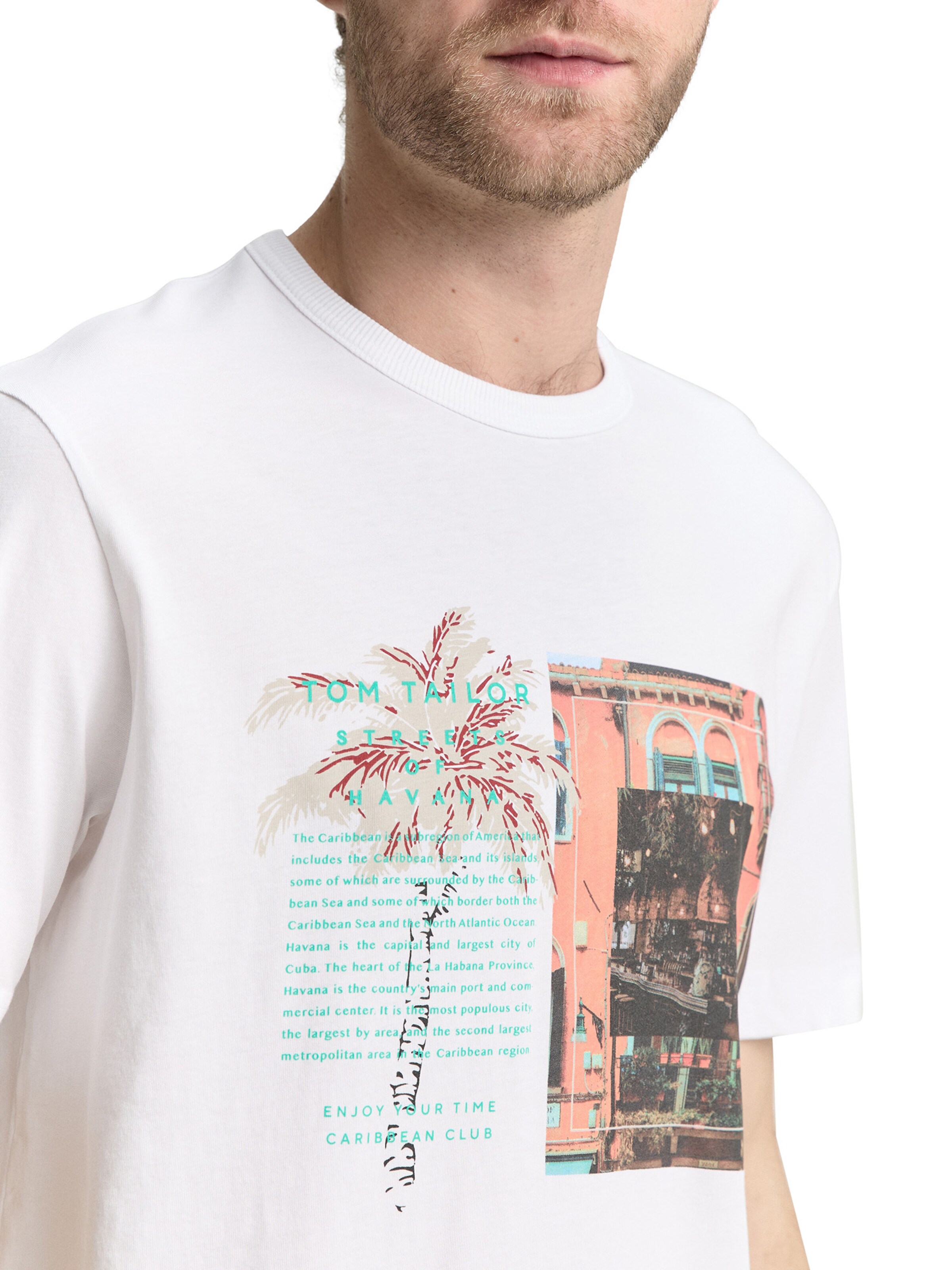 TOM TAILOR T-Shirt in Weiß