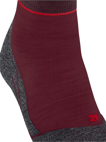 FALKE Athletic Socks 'TK2 Explore Compression' in Mixed colors