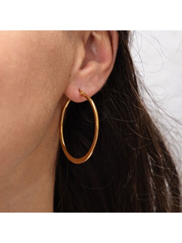 Boucles d'oreilles Zeeme en or : devant