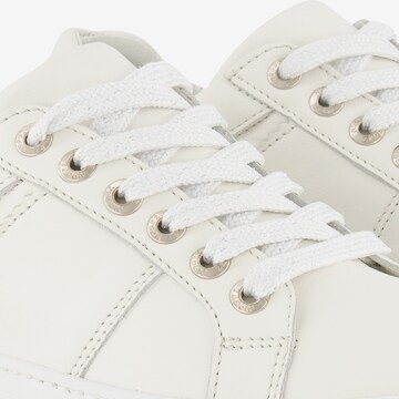 NoGRZ Sneakers 'J.Herrera' in White