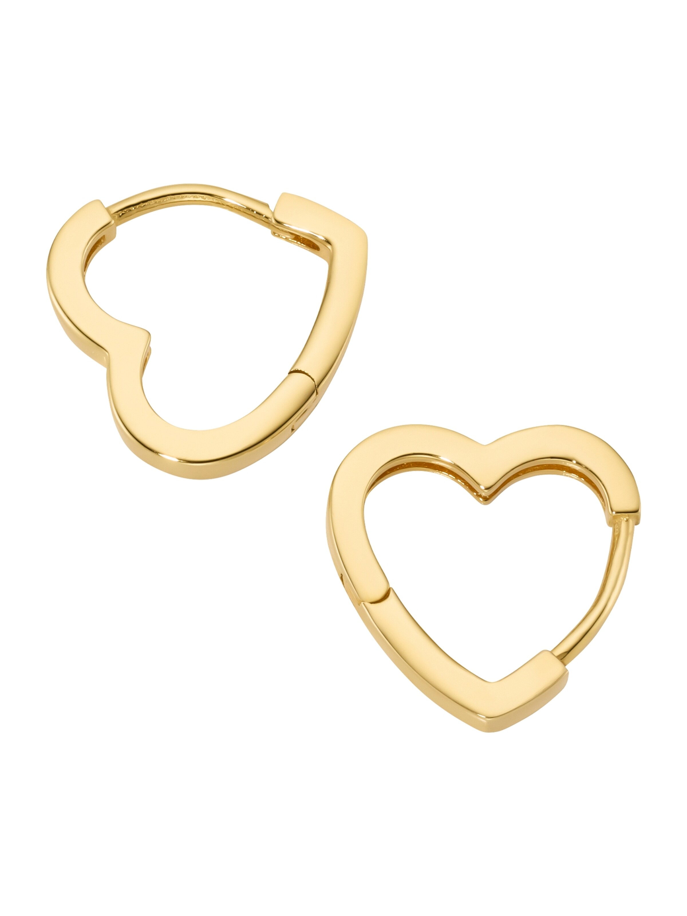 Smart Jewel Oorbellen in Goud