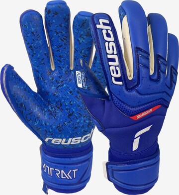 REUSCH Athletic Gloves in Blue: front