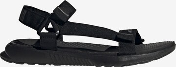 Sandales de randonnée ADIDAS TERREX en noir