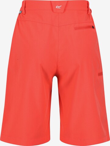 REGATTA Regular Outdoor Pants 'Xert It' in Orange