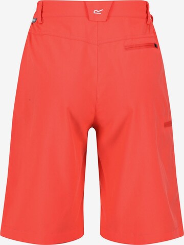 REGATTA Regular Outdoorshorts 'Xert It' in Orange