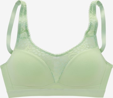 PETITE FLEUR BH in Grün: Vorderseite