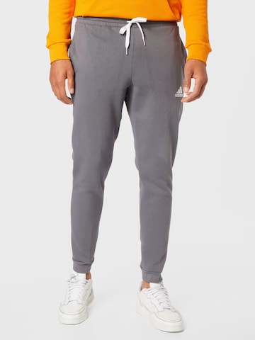 ADIDAS SPORTSWEAR Tapered Workout Pants 'Entrada 22' in Grey: front