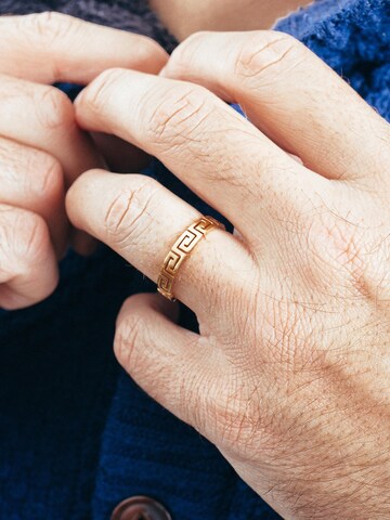 Akitsune Ring 'Argius' in Gold