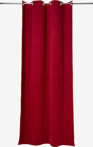 TOM TAILOR Curtains & Drapes in Red: front
