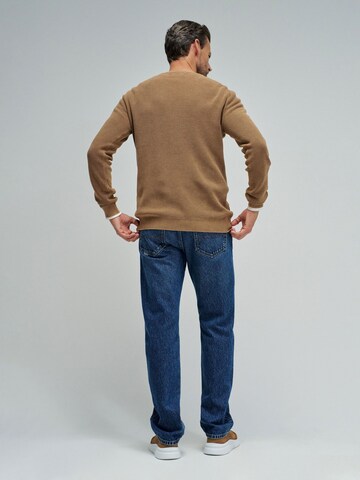 Salsa Jeans Sweater in Brown