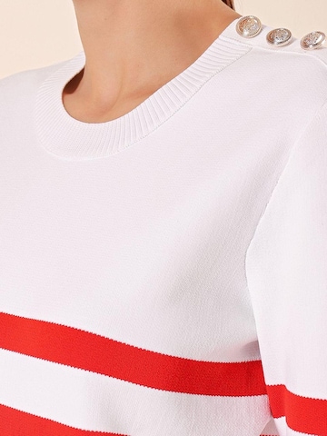 Bigdart Trui in Rood