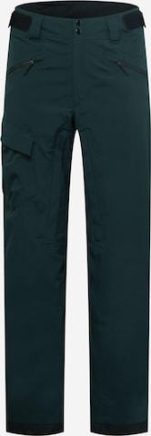 ADIDAS TERREX - Regular Calças de desporto 'Resort Two Layer Insulated Snow' em verde: frente