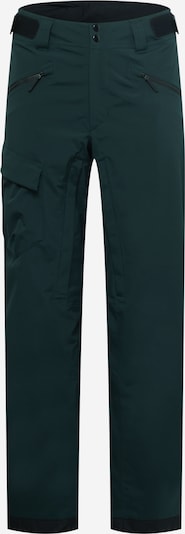 ADIDAS TERREX Sports trousers in Light grey / Green / Black, Item view