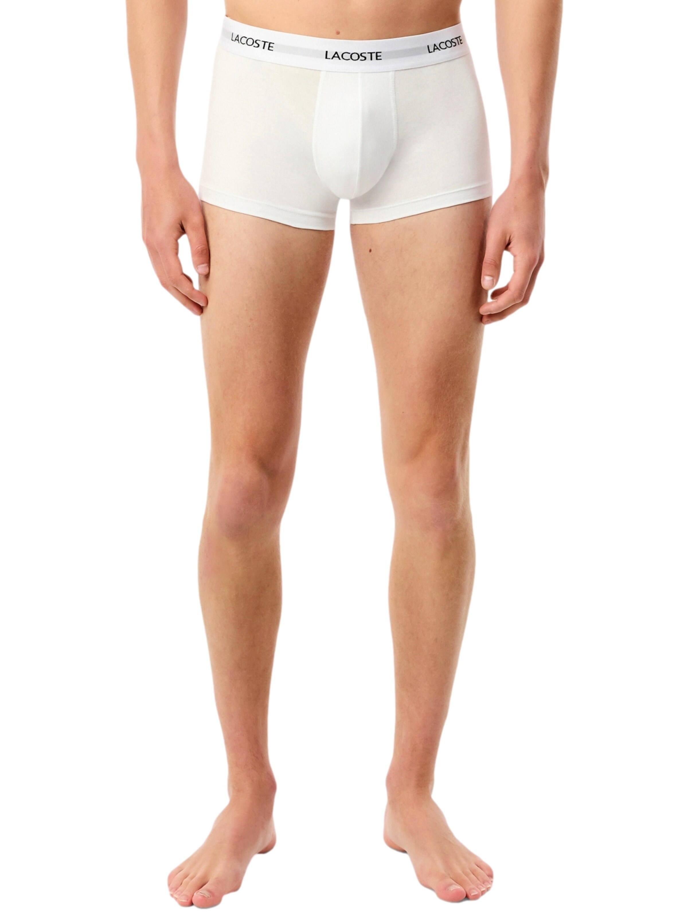 LACOSTE Boxer shorts in Mixed colours