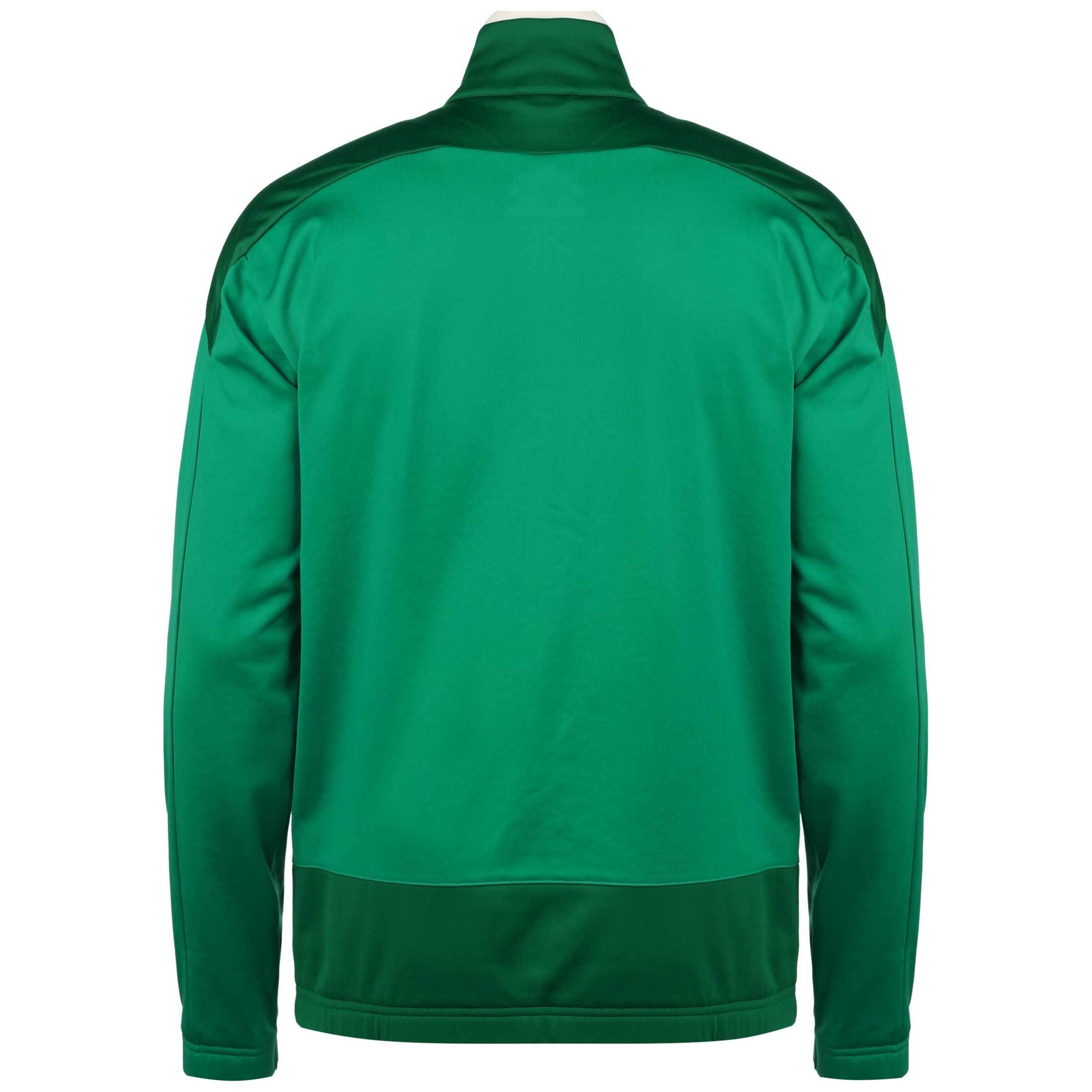 PUMA Training Jacket 'TeamGoal 23' in Green