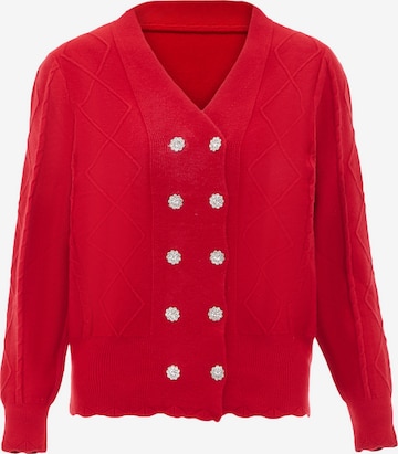 carato Knit Cardigan in Red: front