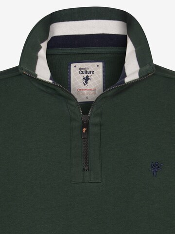 DENIM CULTURE Sweatshirt 'ALCINOO' in Groen