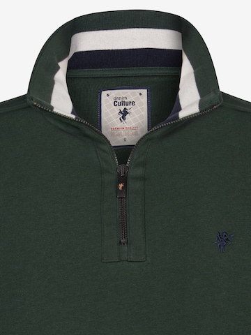 DENIM CULTURE Sweatshirt 'ALCINOO' in Green