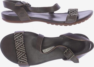 TIMBERLAND Sandals & High-Heeled Sandals in 37,5 in Brown: front