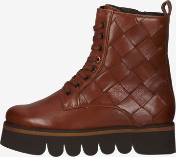 ARA Lace-Up Ankle Boots in Brown