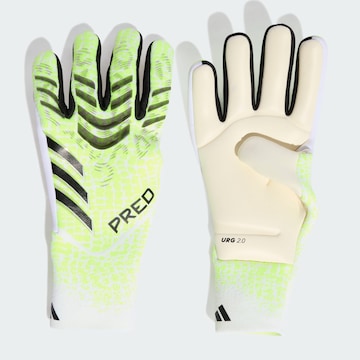 ADIDAS PERFORMANCE Sporthandschoenen 'Predator Pro' in Groen: voorkant