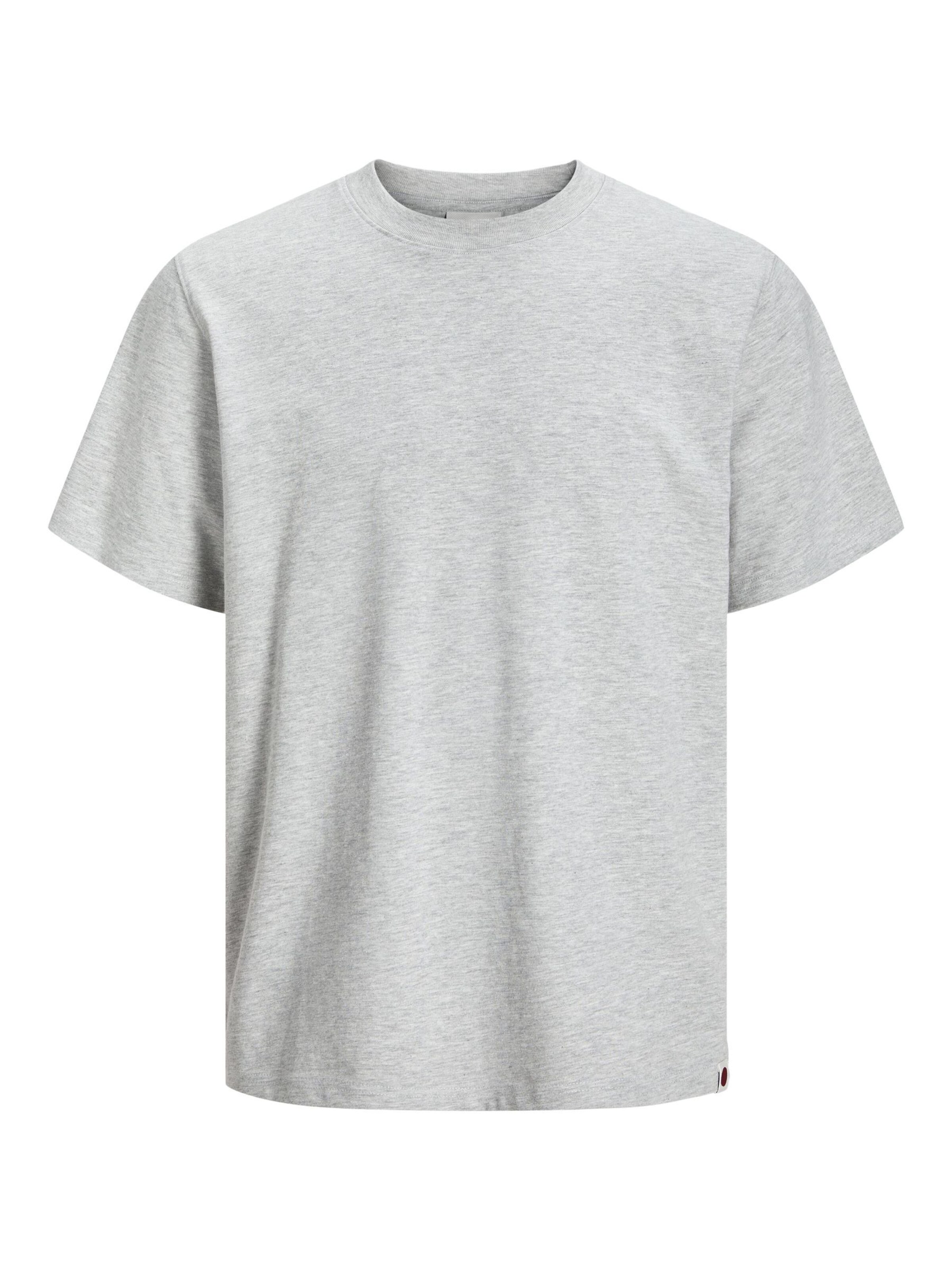 R.D.D. ROYAL DENIM DIVISION T-Shirt in Grau: Vorderseite