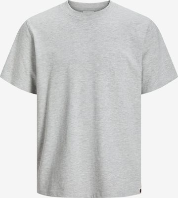 R.D.D. ROYAL DENIM DIVISION T-Shirt in Grau: Vorderseite