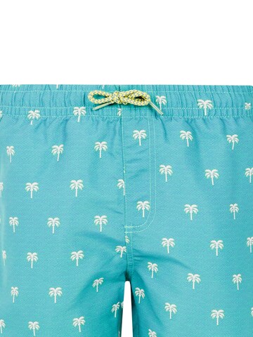 PROTEST Badeshorts 'PRTSteven JR' in Grün